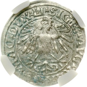 Lithuania Polgrosz 1548 Vilnius NGC MS 63