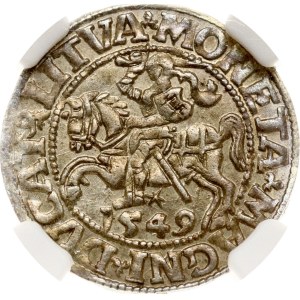 Litwa, Polgrosz, 1549 r., Wilno, NGC MS 63
