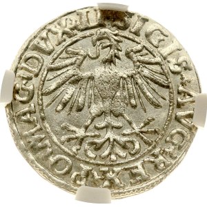 Litva, Polgrosz, 1550, Vilnius, NGC MS 64
