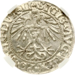 Lithuania Pogrosz 1550 Vilnius NGC MS 63