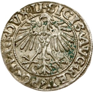 Lituania Polgrosz 1550 Vilnius