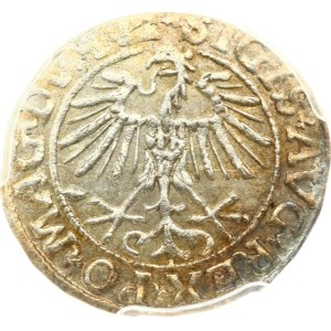 Lithuania Pogrosz 1551 Vilnius (R) PCGS MS 63