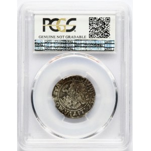Lithuania Grosz 1555 Vilnius MAGAGNI PCGS VF Details Rare type