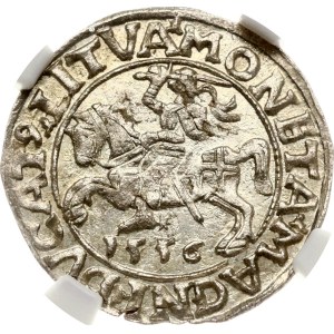 Lithuania Polgrosz 1556 Vilnius (R) NGC MS 65