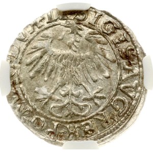 Lithuania Pogrosz 1557 Vilnius NGC MS 63
