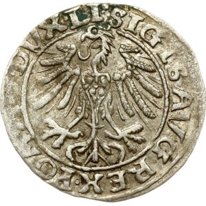 Lithuania Polgrosz 1557 Vilnius