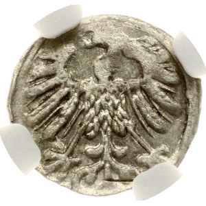 Lithuania Denar 1558 Vilnius (R2) NGC MS 62