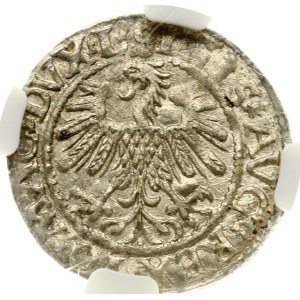 Lituania Pogrosz 1559 Vilnius NGC MS 63