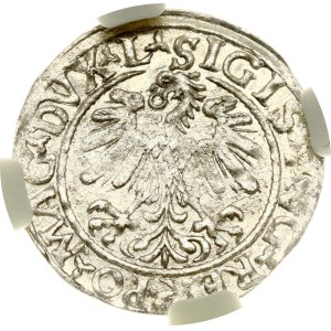Lithuania Pogrosz 1559 Vilnius NGC MS 62