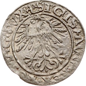 Lithuania Polgrosz 1561 Vilnius