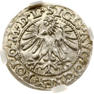 Lituania Polgrosz 1563 Vilnius NGC MS 64