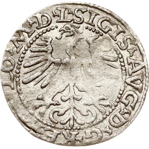Litva Polgrosz 1564 Vilnius