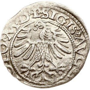 Lithuania Polgrosz 1565 Vilnius