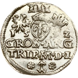 Lituania Trojak 1592 Vilnius (R1)