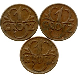 Poland 1 Grosz 1925-1932 W Lot of 3 coins