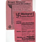 The Third Reich: Two German Propaganda Leaflets—1934, The Judicial System