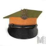 II RP - Rogatywka wz.35 Szeregowego - Pomarańczowa (Wypłowiała) - Broń Pancerna lub 23 Pułk Ułanów Grodzieńskich