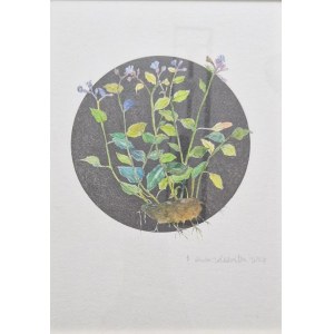 Bogna Gniazdowska, Forget-Me-Nots, 2024