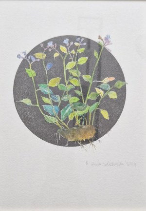 Bogna Gniazdowska, Niezapominajki, 2024
