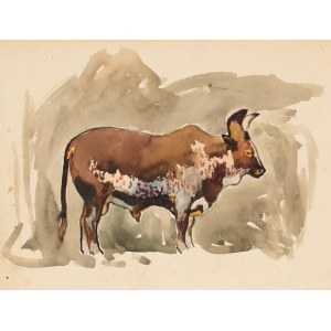 Ludwik MACIĄG (1920-2007), Byk