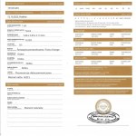 Natural diamond, 0.22 CT, Si1. Gross price: approx. 6,500 PLN