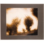 Hartwig Edward (1906–2003) — From the “Willows” series