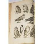 JONSTON, Jan - *Theatrum universale de avibus*.... Frankfurt am Main, 1756. 62 copperplate engravings.