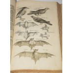 JONSTON, Jan - *Theatrum universale de avibus*.... Frankfurt am Main, 1756. 62 copperplate engravings.