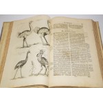JONSTON, Jan - *Theatrum universale de avibus*.... Frankfurt am Main, 1756. 62 copperplate engravings.