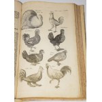 JONSTON, Jan - *Theatrum universale de avibus*.... Frankfurt am Main, 1756. 62 copperplate engravings.