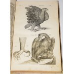 JONSTON, Jan - *Theatrum universale de avibus*.... Frankfurt am Main, 1756. 62 copperplate engravings.