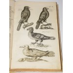 JONSTON, Jan - *Theatrum universale de avibus*.... Frankfurt am Main, 1756. 62 copperplate engravings.