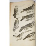 JONSTON, Jan - *Theatrum universale de avibus*.... Frankfurt am Main, 1756. 62 copperplate engravings.