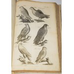JONSTON, Jan - *Theatrum universale de avibus*.... Frankfurt am Main, 1756. 62 copperplate engravings.
