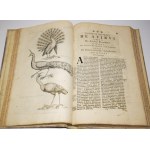 JONSTON, Jan - *Theatrum universale de avibus*.... Frankfurt am Main, 1756. 62 copperplate engravings.