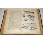 JONSTON Jan - Historiae naturalis de piscibus et cetis libri V [oraz] Historiae naturalis de exangvibus aqvaticis libri IV. Frankfurt nad Menem, 1650.