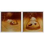 NATALIA LL [Lach-Lachowicz] (1937–2022), Dreaming, 1978