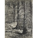 Leon WYCZÓŁKOWSKI (1852–1936), Interior of the Forest, 1907