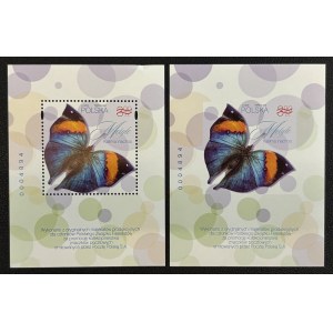 MOTYL, 2024 ROK, 5372 ND AB **