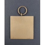 Plaque. Beskidy Cup. TR. PZN. Szczyrk. 1977.
