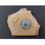 Badge. PZN 1919. Honorary Instructor