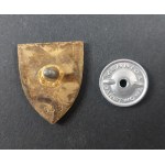 Badge. PZN. Instructor