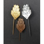 Badge. PZN. Second Polish Republic. Physical Fitness Badge - Set 3 - Gold, Silver, Bronze