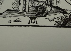 Albrecht Dürer (1471-1528) 