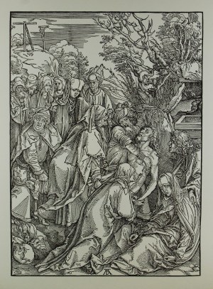 Albrecht Dürer (1471-1528) 