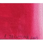 Aleksandra Jachtoma, Untitled
