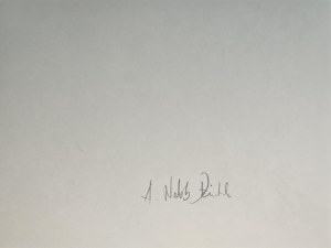 Andrzej Dziubek, pseud. Nebb (ur. 1954), Bez tytułu