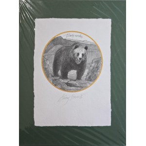Andrzej Strumiłło (1927–2020), Brown Bear