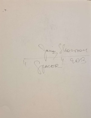 Janusz Skowron (ur. 1958), Spacer, 2013