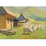 Michał STAŃKO (1901–1969), Sheep in the Tatra Mountains (1934)